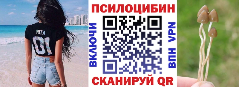 где продают наркотики  Комсомольск-на-Амуре  Галлюциногенные грибы мицелий 